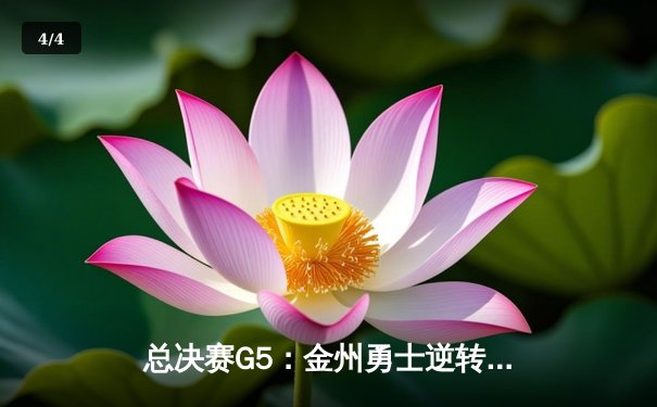 总决赛G5：金州勇士逆转夺冠，库里荣膺FMVP - 4